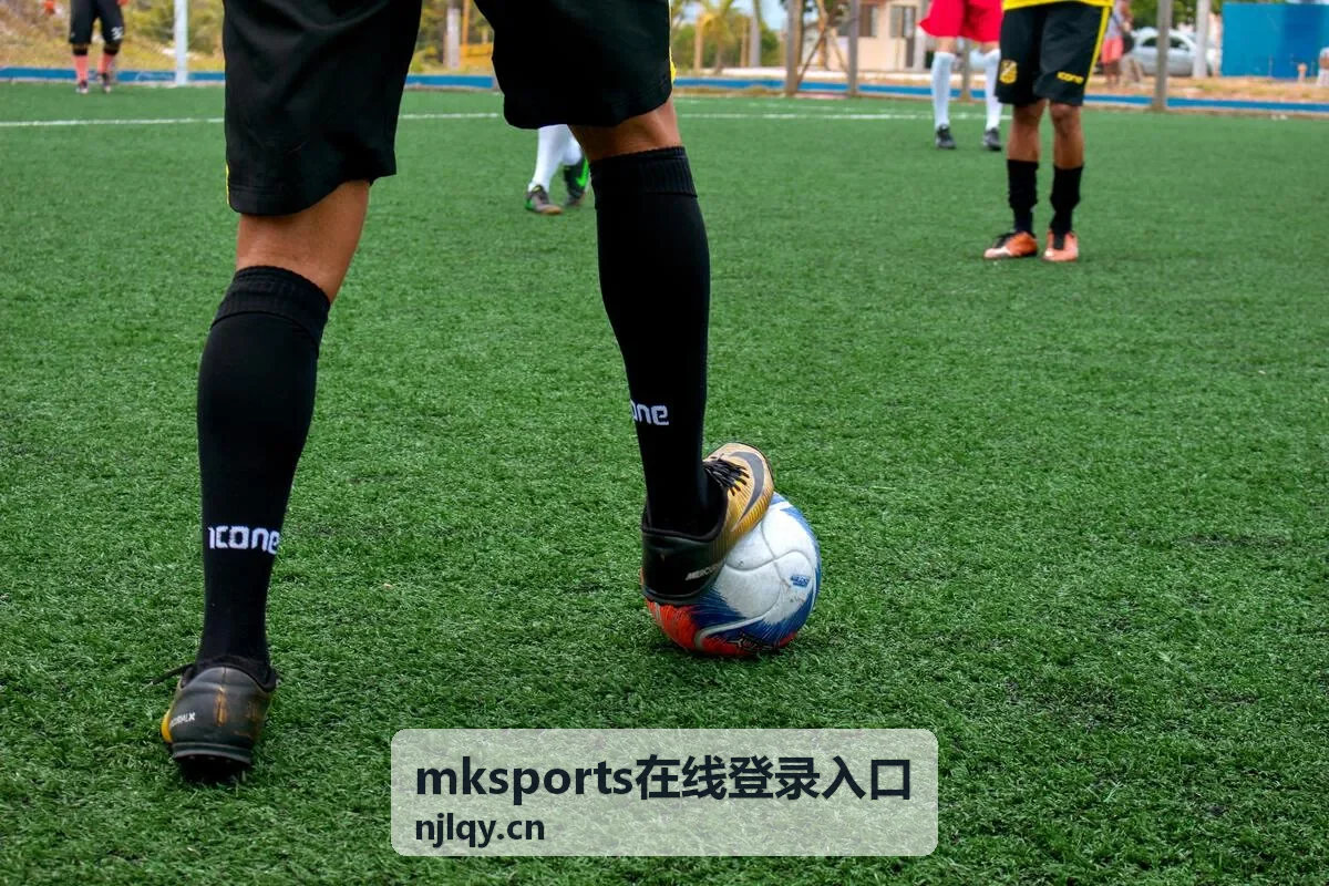 mksports在线登录入口服务动态更新说明