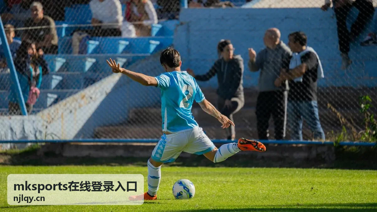 mksports在线登录入口入口状态说明