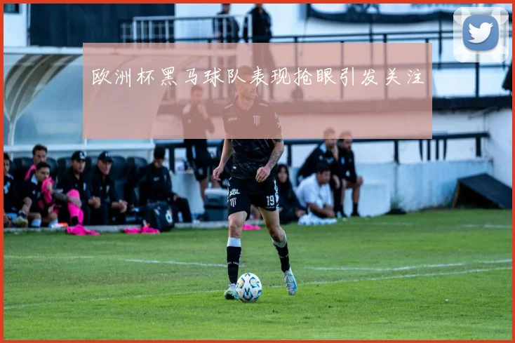 欧洲杯黑马球队表现抢眼引发关注