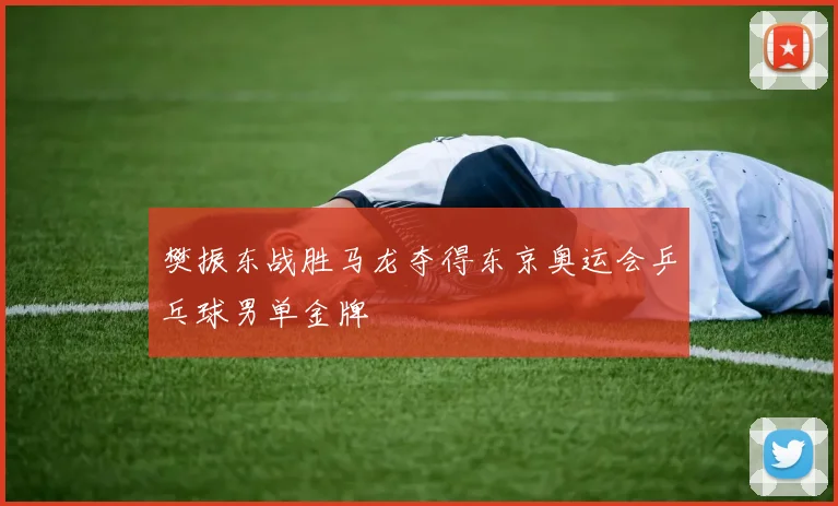 樊振东战胜马龙夺得东京奥运会乒乓球男单金牌