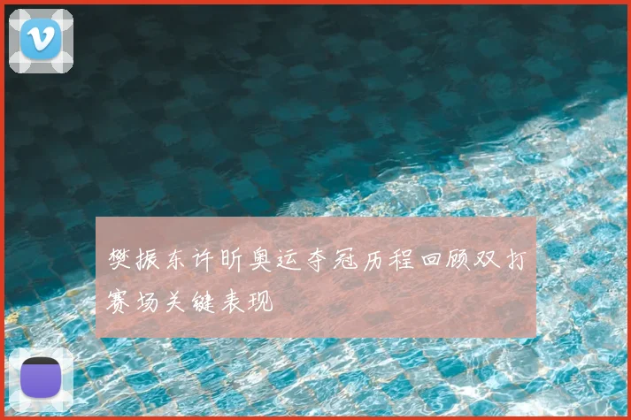樊振东许昕奥运夺冠历程回顾双打赛场关键表现