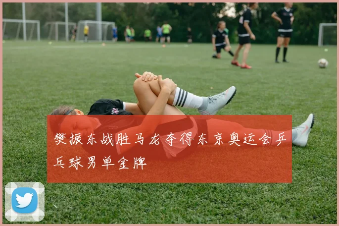 樊振东战胜马龙夺得东京奥运会乒乓球男单金牌
