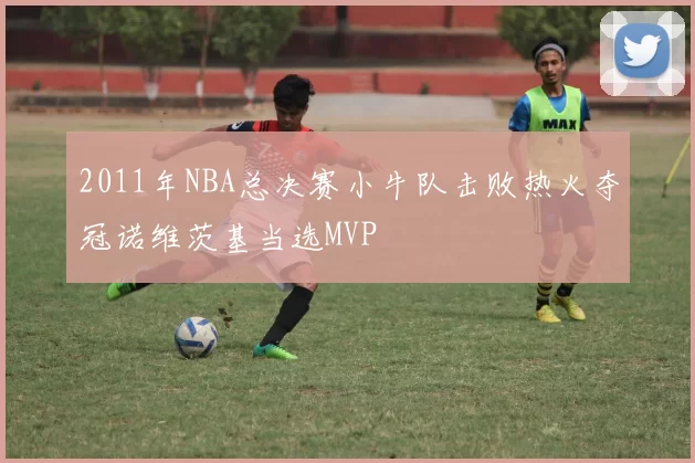 2011年NBA总决赛小牛队击败热火夺冠诺维茨基当选MVP