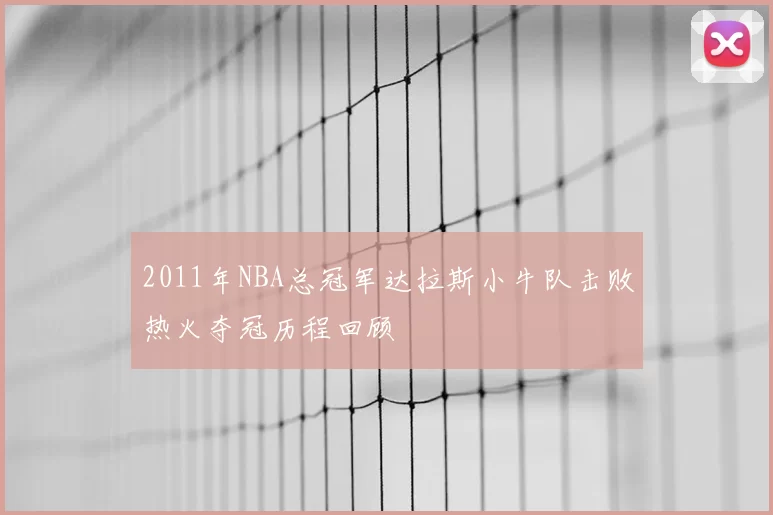 2011年NBA总冠军达拉斯小牛队击败热火夺冠历程回顾