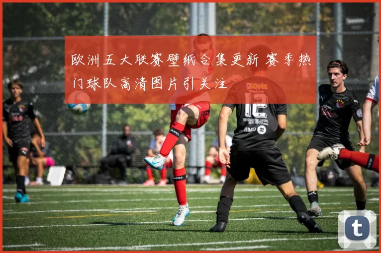欧洲五大联赛壁纸合集更新 赛季热门球队高清图片引关注